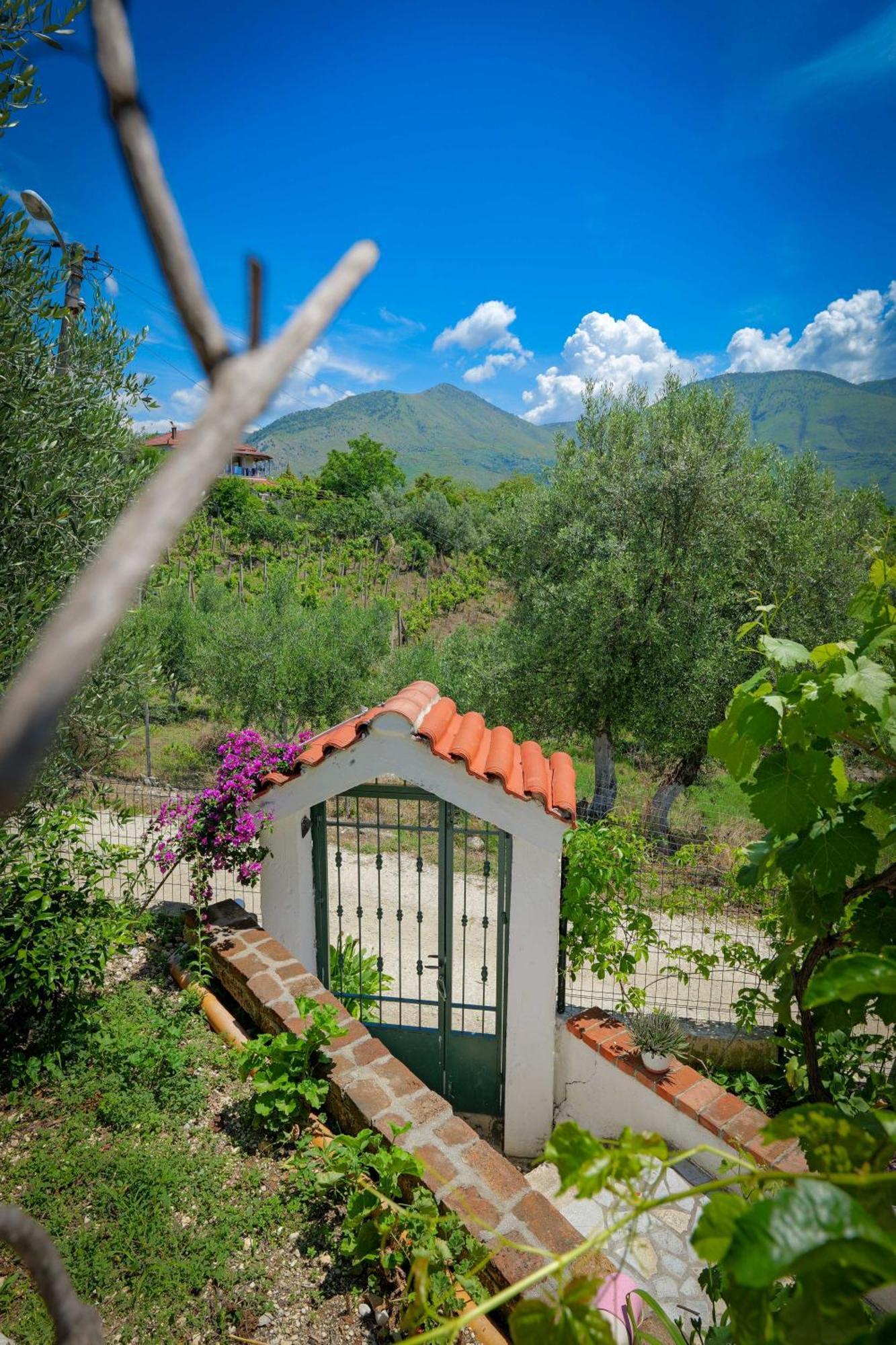 Отель Shena The Farm Boutique Mesopotam Экстерьер фото