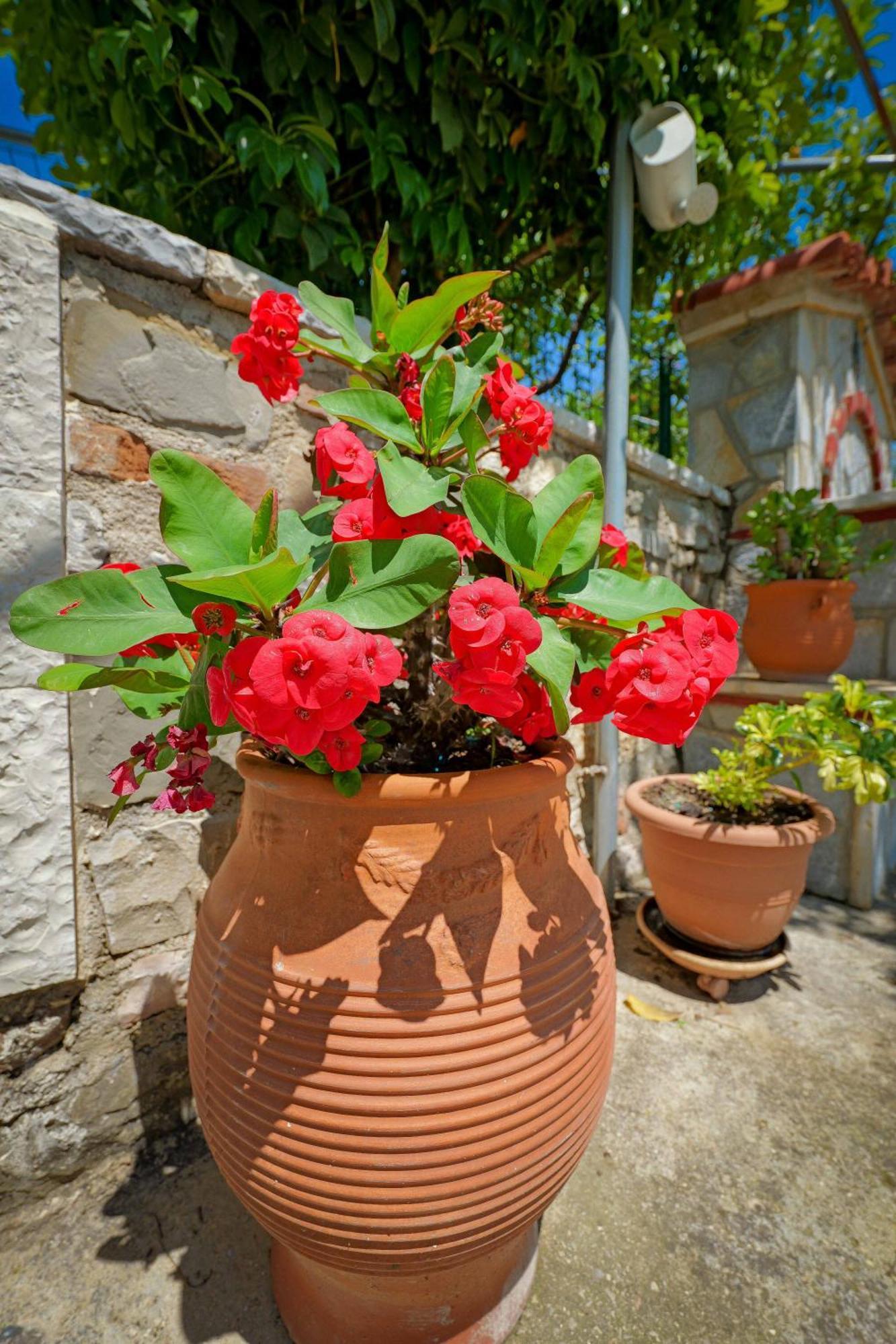 Отель Shena The Farm Boutique Mesopotam Экстерьер фото